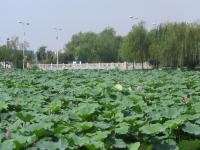 Albums/20060800-China Aug 2006/20060804-Shenyang University/57
